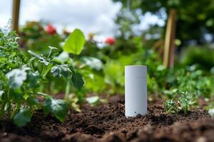 Smart sensor that measures moisture and acidity levels of soil in backyard garden. photo