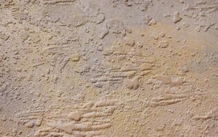 abstract stone background. texture of the stone wall. Light gray rock backdrop. photo