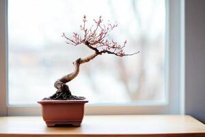 A bonsai tree elegantly displayed on a wooden surface near a window. photo