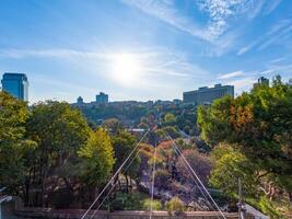 A stunning view of a cable car system stretching over a lush green park, with a modern city skyline in the background. The sun shines brightly in the clear blue sky. photo