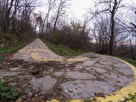 A stone-paved pathway winds through a quiet forest, marked by faded yellow lines that guide travelers along its route. The path appears well-worn, with fallen leaves and patches of dirt. photo