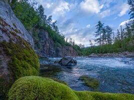 A stunning view of a pristine river rushing through a lush, green forest. Moss-covered rocks and rugged cliffs frame the water, creating a harmonious blend of textures and colors. photo