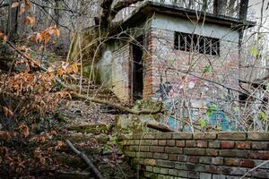 An old, decaying brick structure with graffiti, broken windows, and overgrown vegetation, blending with the forest as time reclaims it. A haunting yet captivating scene of urban decay. photo