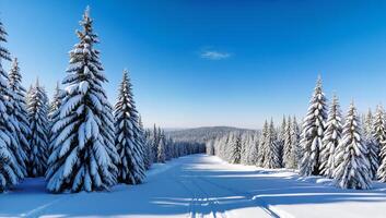 Winter Wonderland. Snow-Covered Trees Under a Clear Blue Sky photo