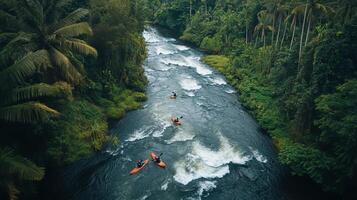 Aerial View of Whitewater Kayaking on Lush Tropical River Waterscape Surrounded by Dense Green Trees and Forest with Sunlight photo