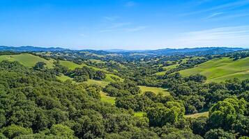 Aerial View of Lush Green Rolling Hills and Valley under a Bright Blue Sky photo