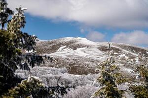 Snow covered mountain peak towering over frozen forest landscape photo