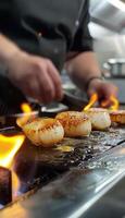 dominar Vieira agudo habilidades. profesional del chef guía para hogar cocineros en un gama alta cocina foto