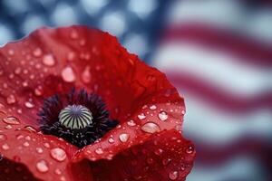 Macro of Red Poppy with Dew Against Soft Patriotic Flag Colors for Memorial Day Design photo