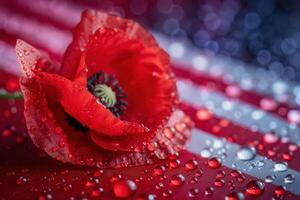 Vibrant Poppy Macro with Dew and Subtle American Flag Background for Artistic Design photo