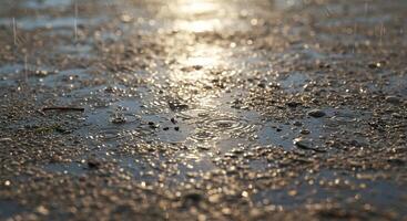 Close-up shot of raindrops splashing on a wet ground, forming small puddles between scattered stones and debris, perfect for weather-related visuals. photo