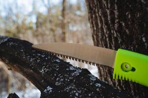 A person is diligently cutting through a thick tree branch using a sturdy green saw, showcasing the interaction between human tools and natural materials in their surroundings photo
