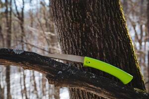 A vibrant green saw, featuring an ergonomic grip for user comfort, rests on a sturdy branch, showcasing its preparedness for executing precise cutting and crafting tasks efficiently photo