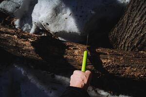 An individual stands confidently on a log, holding a bright green tool in freshly fallen snow and tall trees, capturing a serene winter landscape of tranquility photo