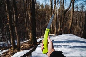 A person is currently holding a bright green saw firmly in their hand while standing amidst the dense woods, which are filled with tall trees and lush, vibrant greenery all around them photo