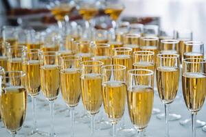A beautifully arranged table topped with an abundance of elegant champagne glasses, all filled to the brim with sparkling champagne, ready for a joyous celebration or toast photo