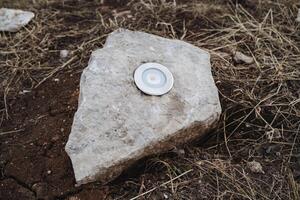 A truly unique rock showcases a prominent white circle right at its center, making it an astonishing natural feature that remarkably stands out from the surrounding stones and pebbles photo