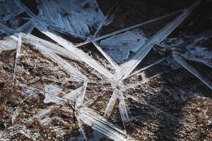 This image presents a detailed closeup view of a unique piece of ice that is resting on a natural rock surface, showcasing the fascinating interplay between the ice and natural stone photo