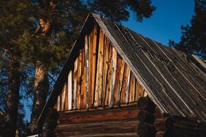 A rustic wooden house with a gently sloping roof is surrounded by lush trees, creating a tranquil setting that enhances the serene beauty of the landscape, perfect for nature lovers photo