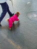 A person is leisurely walking a small dog on a leash while being accompanied by gentle raindrops falling from the sky, making for a delightful experience despite the weather conditions photo