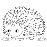 Adorable cartoon hedgehog illustration perfect for coloring books, educational materials, or children's activities. vector