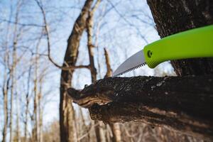 A Vibrant Green Folding Knife is gracefully resting on a Tree Branch within a Serene Woodland Setting surrounded by the beauty of nature and the tranquility of the forest photo