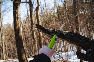 A person is skillfully using a vibrant multicolor knife to cut a branch while exploring a winter forest, showcasing adventure and craftsmanship in a tranquil outdoor environment photo
