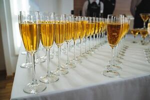 A beautiful row of sparkling champagne glasses is elegantly arranged on a polished table, ready to be filled with bubbly delight for a special celebration or gathering tonight photo