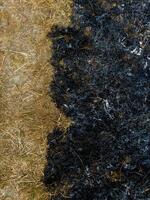 Spring fires. Grass that have been burned to ashes. Dry grass and grass that have been burned to ashes photo