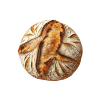 Artisanal Round Bread with Scoring Pattern Isolated on Transparent Background png