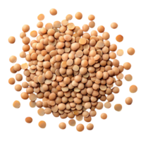 Dry Round Lentils in a Scattered Pile Isolated on Transparent Background png