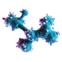 Molecule of candida auris fungal infection isolated on transparency background, neon. png