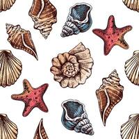 Hand-drawn sketch seamless pattern of seashells and starfish in vintage style. Marine background. vector