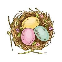 Hand- drawn vintage sketch of Easter decorative nest with eggs. illustration. vector