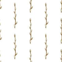 Hand drawn color vintage seamless pattern of willow branches for Easter vector
