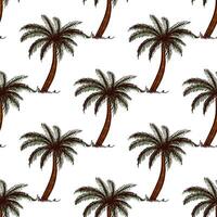 Hand drawn sketch seamless pattern of palm tree. vector