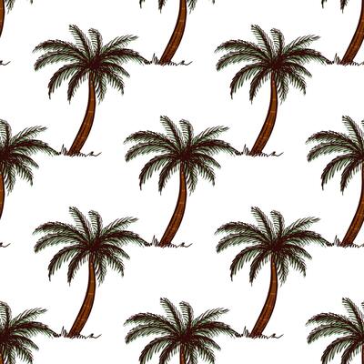 Hand drawn sketch seamless pattern of palm tree.