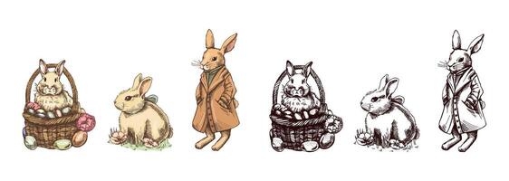Hand drawn vintage colored and black sketch of easter bunnys set. A rabbit in a coat, with a bow, in a basket. vector