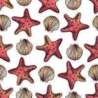 Hand drawn sketch seamless pattern of seashells and starfish in vintage style. vector