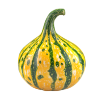 Isolated Butternut Squash for Recipes and Healthy Eating on Transparent Background png