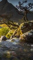 Serene River Flowing Through Rocky Landscape with Mountain Background video