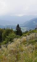Fog in the mountains above the forest. Enchanting summer mountain landscape where thick fog envelops the peaks, creating a mysterious and dreamy atmosphere. photo