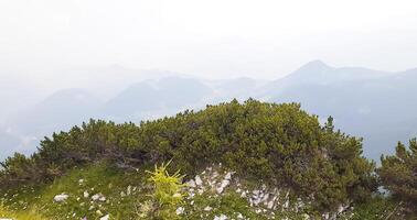 Mountains in the fog. Enchanting summer mountain landscape where thick fog envelops the peaks, creating a mysterious and dreamy atmosphere. photo