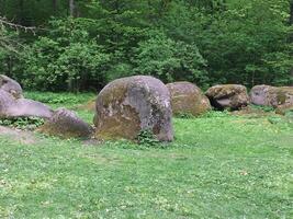 Stones on the grass. Ancient large boulders covered in moss are located among the dense greenery of the forest. photo