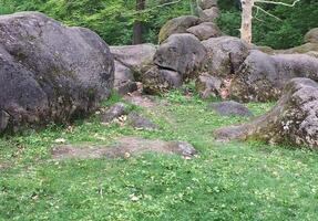 Stones. Ancient large boulders covered in moss are located among the dense greenery of the forest. photo