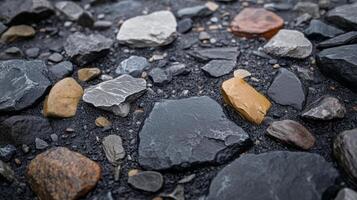 Close-up image of assorted stones with diverse colors and textures scattered on a wet, textured surface. The image highlights the natural variety found in stone formations. photo