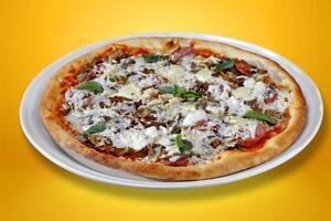 Pizza mozzarella and tomato roasted in the wood oven. photo