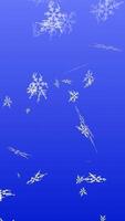 Snowfall Background Loop Winter Snow Falling Animation video