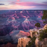 A lone tree stands on the edge of a cliff at sunset photo