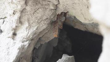 A rusty metal fragment of a mine sticking out in a brick wall after the explosion. video